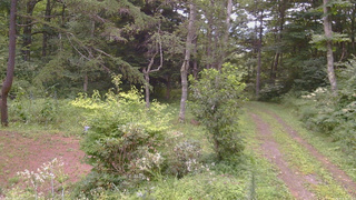 長野県菅平高原 ゆたか山荘 坂上 2026/08/15 18:15