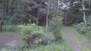 長野県菅平高原 ゆたか山荘 坂上 2026/08/15 18:30