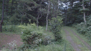 長野県菅平高原 ゆたか山荘 坂上 2026/08/15 18:45