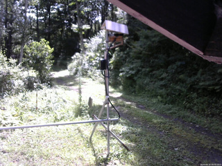 長野県菅平高原 ゆたか山荘 南側 2026/08/16 09:45