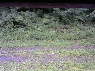 長野県菅平高原 ゆたか山荘 東側(坂下) 2026/08/16 06:00