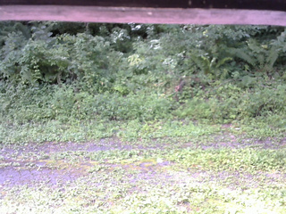 長野県菅平高原 ゆたか山荘 東側(坂下) 2026/08/16 09:00