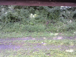 長野県菅平高原 ゆたか山荘 東側(坂下) 2026/08/16 13:15