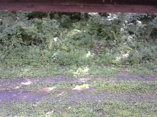 長野県菅平高原 ゆたか山荘 東側(坂下) 2026/08/16 13:45