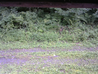 長野県菅平高原 ゆたか山荘 東側(坂下) 2026/08/16 15:15