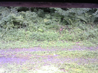 長野県菅平高原 ゆたか山荘 東側(坂下) 2026/08/16 16:15