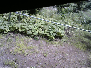 長野県菅平高原 ゆたか山荘 駐車場 2026/08/16 10:15