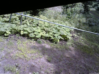 長野県菅平高原 ゆたか山荘 駐車場 2026/08/16 11:30
