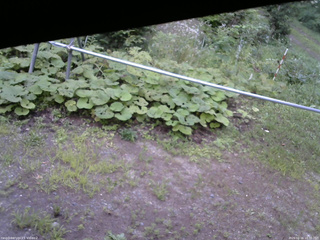 長野県菅平高原 ゆたか山荘 駐車場 2026/08/16 18:00