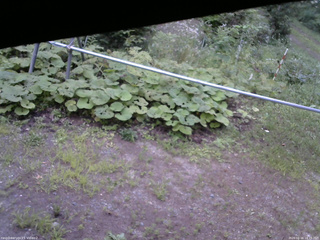 長野県菅平高原 ゆたか山荘 駐車場 2026/08/16 18:15