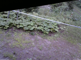 長野県菅平高原 ゆたか山荘 駐車場 2026/08/16 18:30