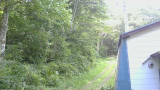 長野県菅平高原 ゆたか山荘 ゆたか山荘 2026/08/16 13:00