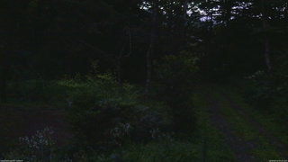 長野県菅平高原 ゆたか山荘 坂上 2026/08/16 05:00