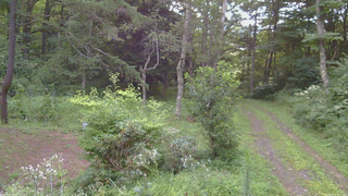 長野県菅平高原 ゆたか山荘 坂上 2026/08/16 05:15