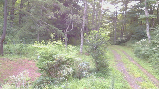 長野県菅平高原 ゆたか山荘 坂上 2026/08/16 05:30