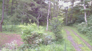 長野県菅平高原 ゆたか山荘 坂上 2026/08/16 05:45