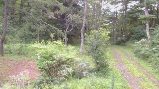 長野県菅平高原 ゆたか山荘 坂上 2026/08/16 06:00