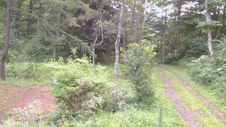 長野県菅平高原 ゆたか山荘 坂上 2026/08/16 06:15