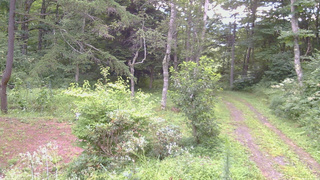 長野県菅平高原 ゆたか山荘 坂上 2026/08/16 06:30