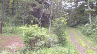 長野県菅平高原 ゆたか山荘 坂上 2026/08/16 06:45