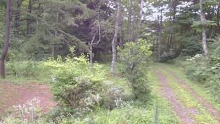 長野県菅平高原 ゆたか山荘 坂上 2026/08/16 07:00