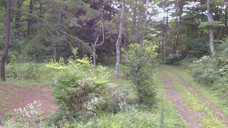 長野県菅平高原 ゆたか山荘 坂上 2026/08/16 07:15