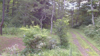 長野県菅平高原 ゆたか山荘 坂上 2026/08/16 07:30