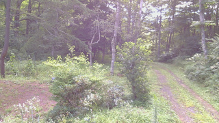 長野県菅平高原 ゆたか山荘 坂上 2026/08/16 07:45