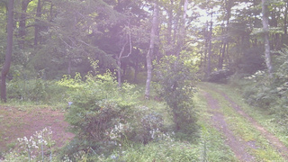 長野県菅平高原 ゆたか山荘 坂上 2026/08/16 08:00