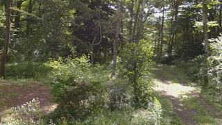 長野県菅平高原 ゆたか山荘 坂上 2026/08/16 08:45