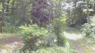 長野県菅平高原 ゆたか山荘 坂上 2026/08/16 09:00