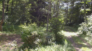 長野県菅平高原 ゆたか山荘 坂上 2026/08/16 09:15