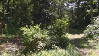 長野県菅平高原 ゆたか山荘 坂上 2026/08/16 09:30