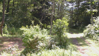 長野県菅平高原 ゆたか山荘 坂上 2026/08/16 09:45
