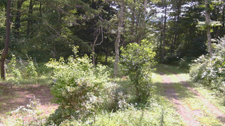 長野県菅平高原 ゆたか山荘 坂上 2026/08/16 10:00