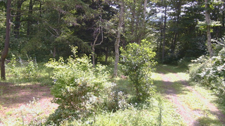 長野県菅平高原 ゆたか山荘 坂上 2026/08/16 10:15