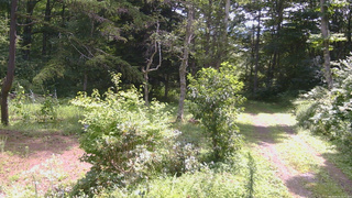 長野県菅平高原 ゆたか山荘 坂上 2026/08/16 10:30