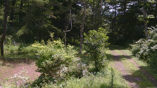 長野県菅平高原 ゆたか山荘 坂上 2026/08/16 10:45