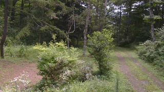 長野県菅平高原 ゆたか山荘 坂上 2026/08/16 11:00