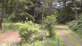 長野県菅平高原 ゆたか山荘 坂上 2026/08/16 11:15