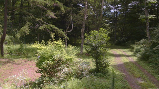 長野県菅平高原 ゆたか山荘 坂上 2026/08/16 11:30
