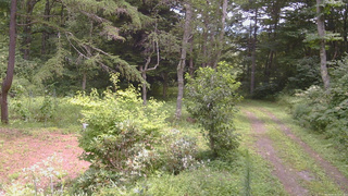 長野県菅平高原 ゆたか山荘 坂上 2026/08/16 11:45