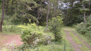 長野県菅平高原 ゆたか山荘 坂上 2026/08/16 12:00