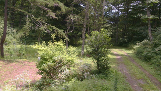 長野県菅平高原 ゆたか山荘 坂上 2026/08/16 12:15