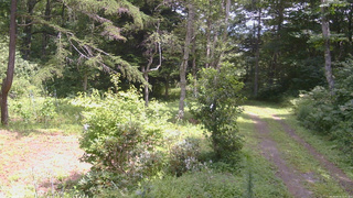 長野県菅平高原 ゆたか山荘 坂上 2026/08/16 12:30