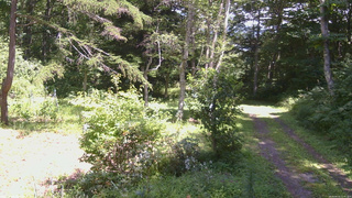 長野県菅平高原 ゆたか山荘 坂上 2026/08/16 12:45