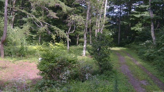 長野県菅平高原 ゆたか山荘 坂上 2026/08/16 14:00