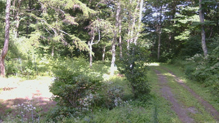 長野県菅平高原 ゆたか山荘 坂上 2026/08/16 14:15