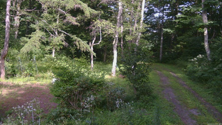 長野県菅平高原 ゆたか山荘 坂上 2026/08/16 14:45