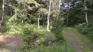 長野県菅平高原 ゆたか山荘 坂上 2026/08/16 15:15